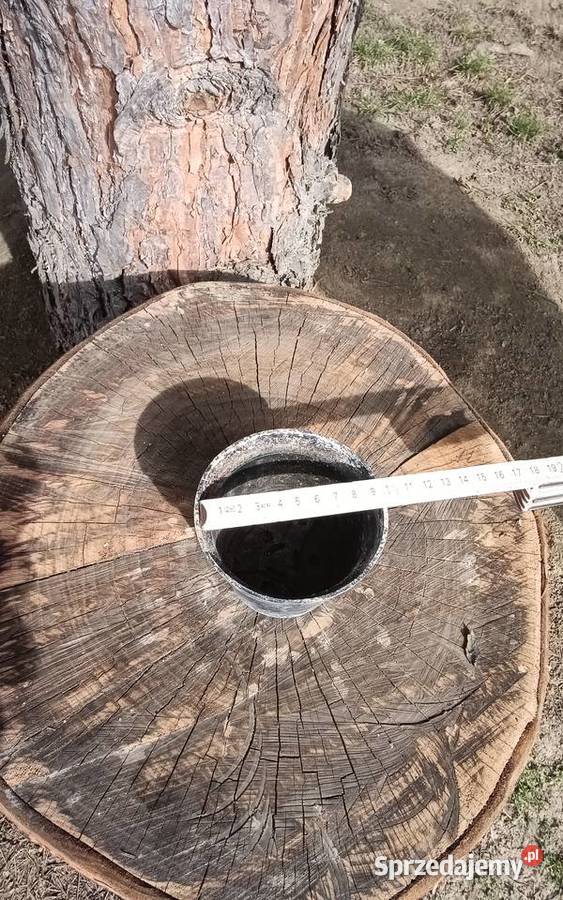 Doniczki do rozsady na warzywa kwiaty Wawrzeńczyce