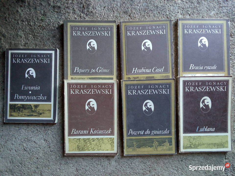 Józef Ignacy Kraszewski Papiery glinie Hrabina Sokółka