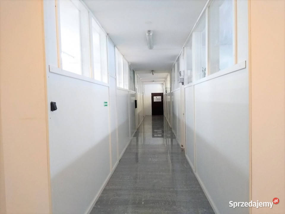 Lokal do wynajęcia Kielce 20m2