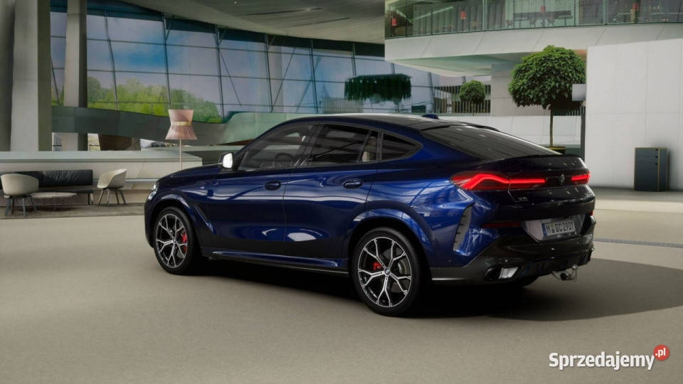 BMW X6 X6 xDrive40d Dostępne ręki G06 2019