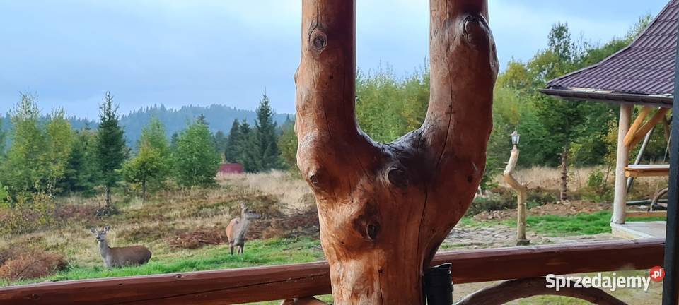 Góralska chata wysoko w górach Domy Waksmund