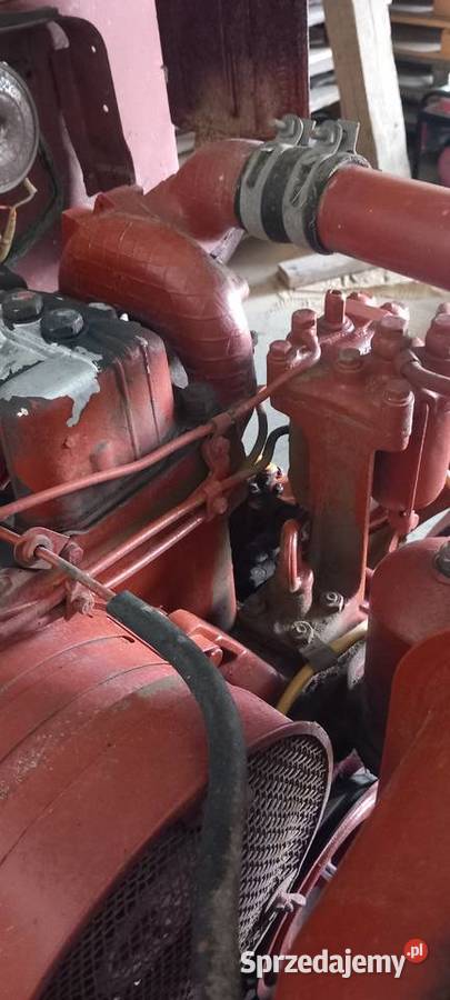 Wladymirec t25 oryginał igielka małopolskie Jangrot