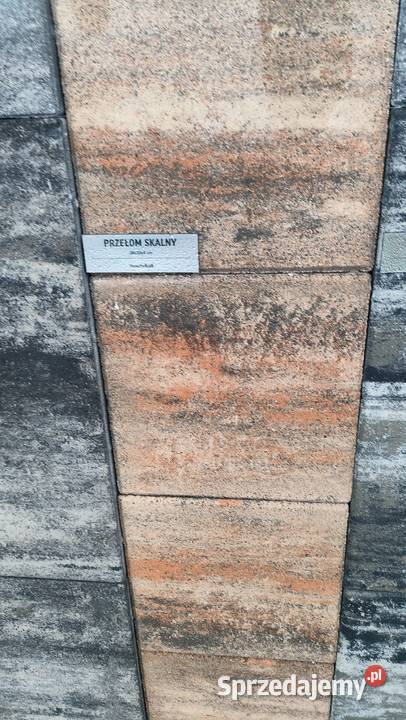 Płytka tarasowa taras płyta chodnikowa kostka