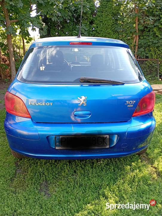 Peugeot 307 16HDI 110 wielkopolskie Września