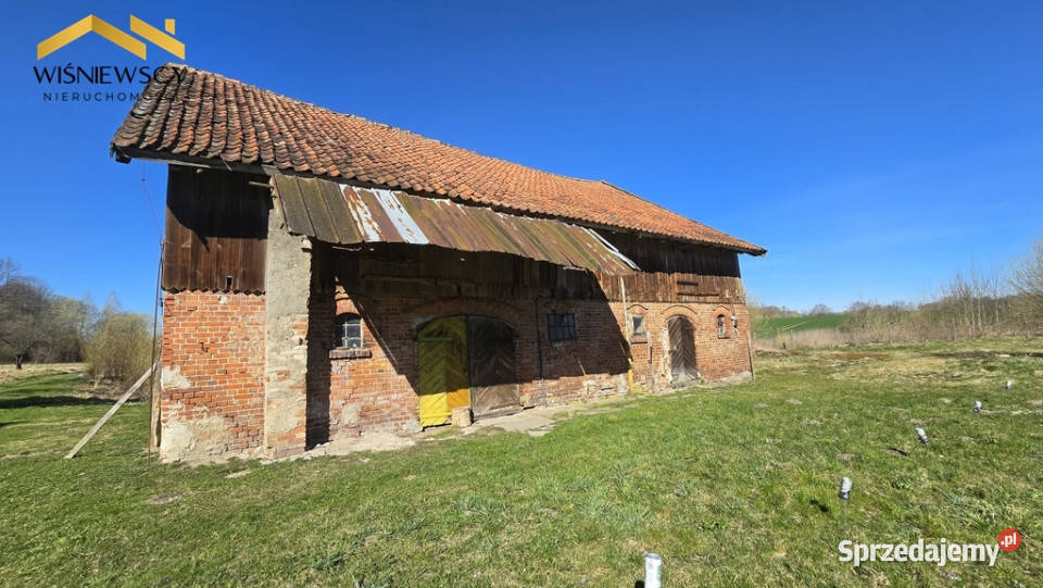 Połowa domu Stajnia działka 8003 m2 Ząbrowiec
