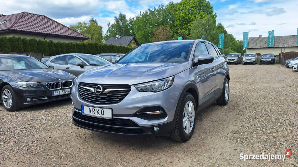 Opel Grandland X Benzyna Serwisowany Rok produkcji 2018 Grandland X