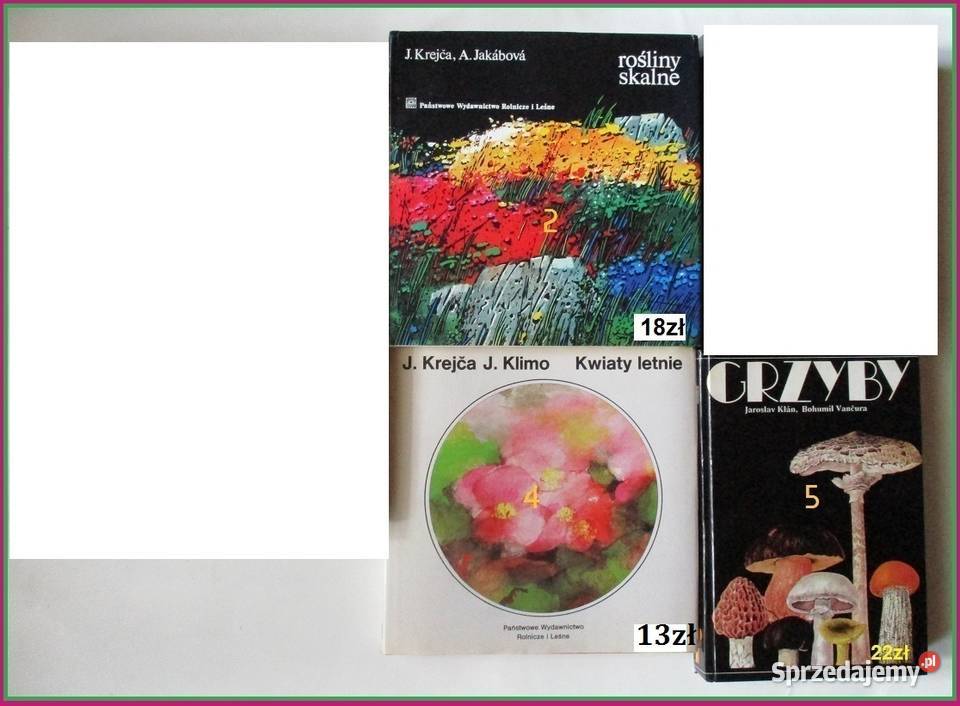 Botanika techników leśnych przyroda botanika las Łódź