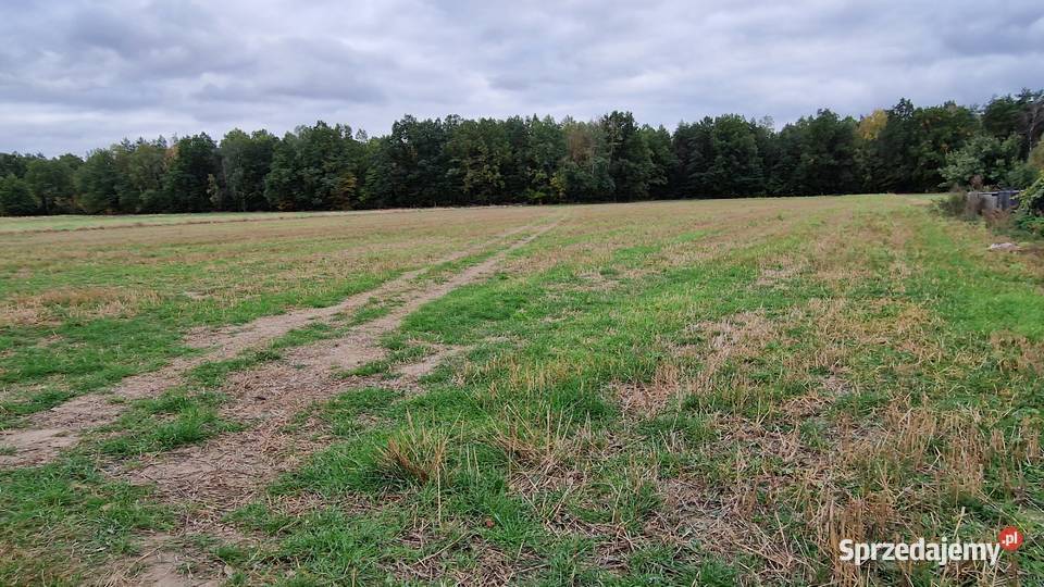 Okazja! Działka 1500 m² I 43 zł/m² I 15 min od Łukowa | Sarnów