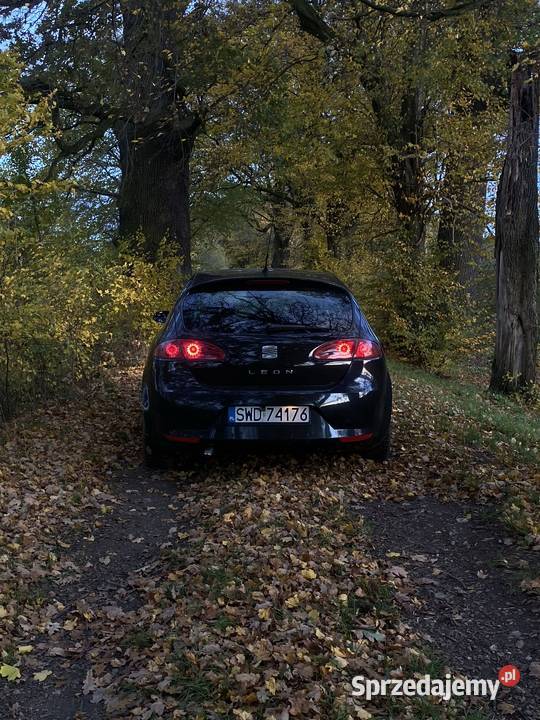 2007 SEAT Leon 21p Leon Kędzierzyn-Koźle