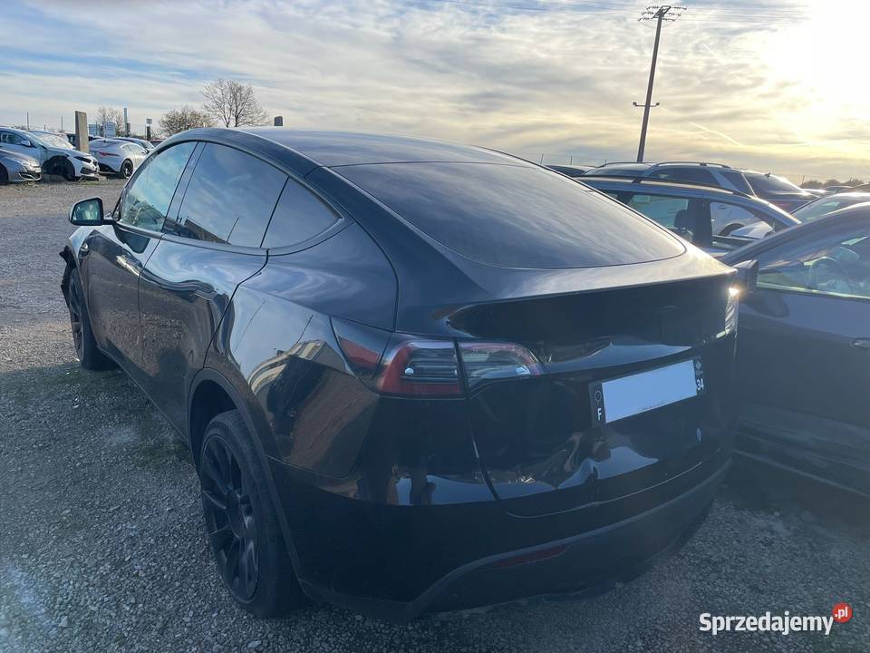 TESLA Model Y RWD Standard GK600 Gdańsk
