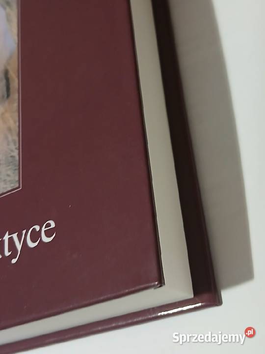 Poradnik hodowców psów Genetyka w praktyce Katowice sprzedam