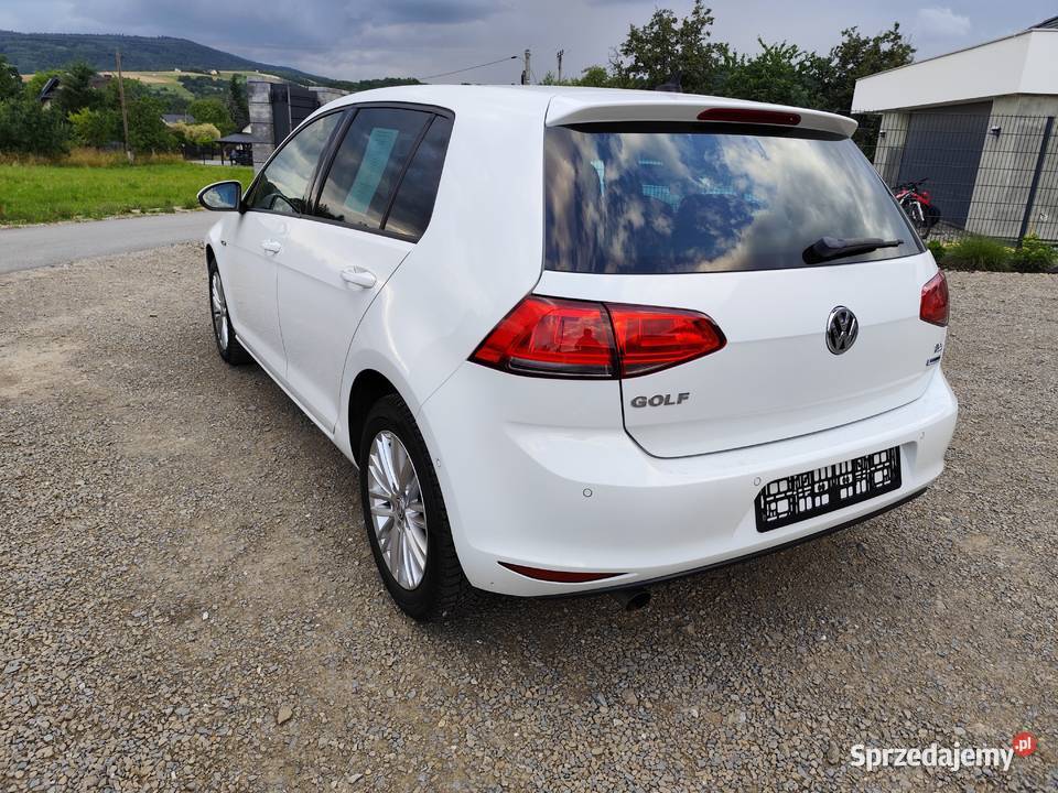 Volkswagen Golf VII 16 TDI 110