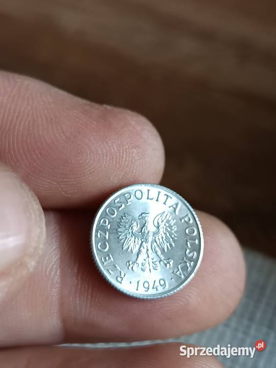 Sprzedam 1 grosz 1949 ccc lubelskie Chełm sprzedam