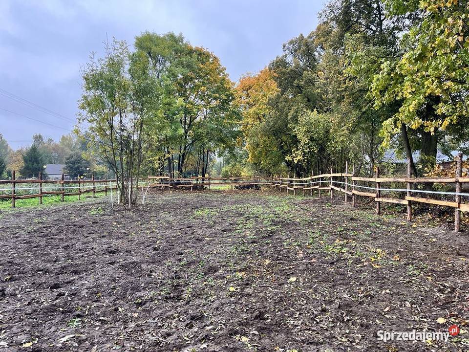 Działka 034 ha dojazd asfaltowy z dwóch stron Zadworze
