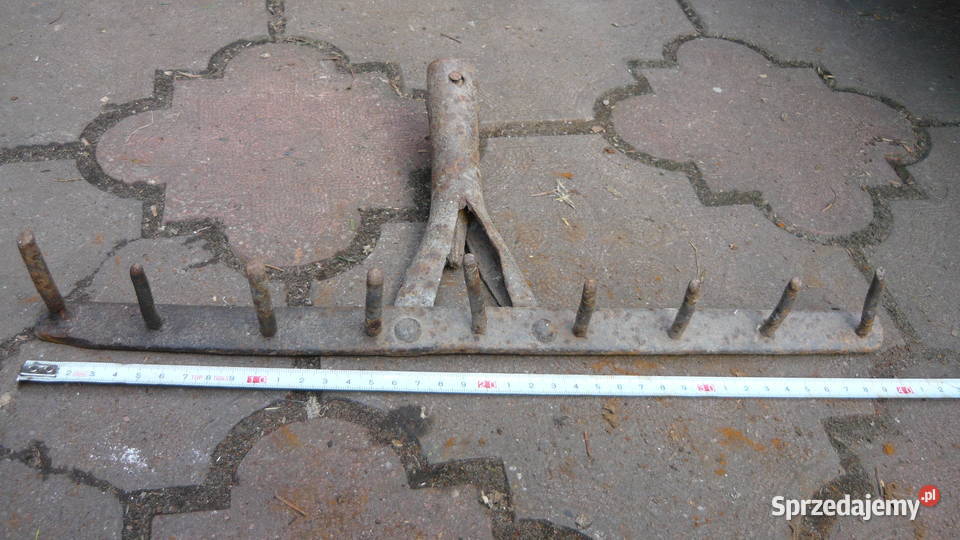 Grabie stare kowalskie kute Sokółka