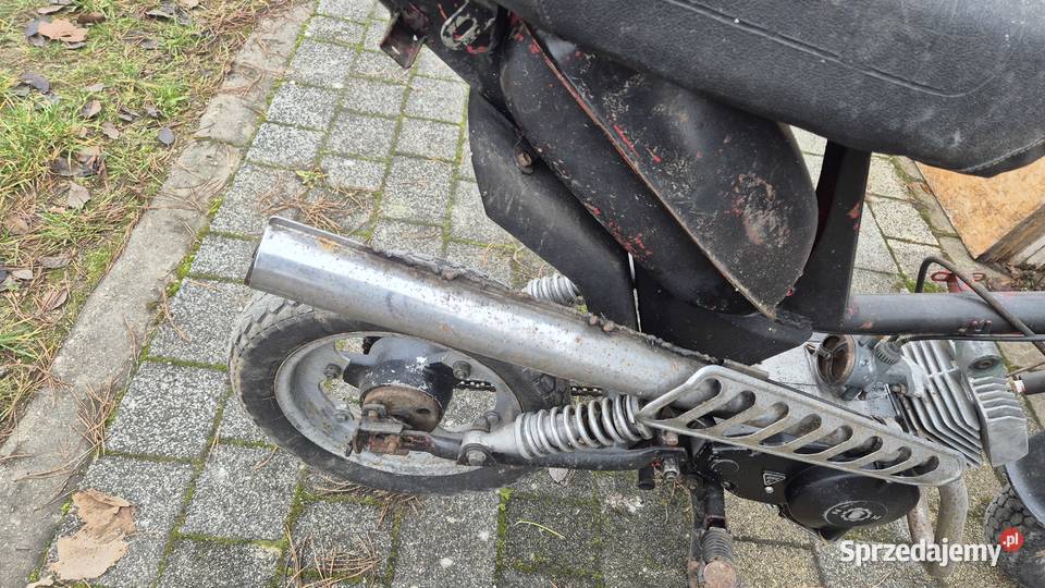 Motorynka stella Hryniewicze