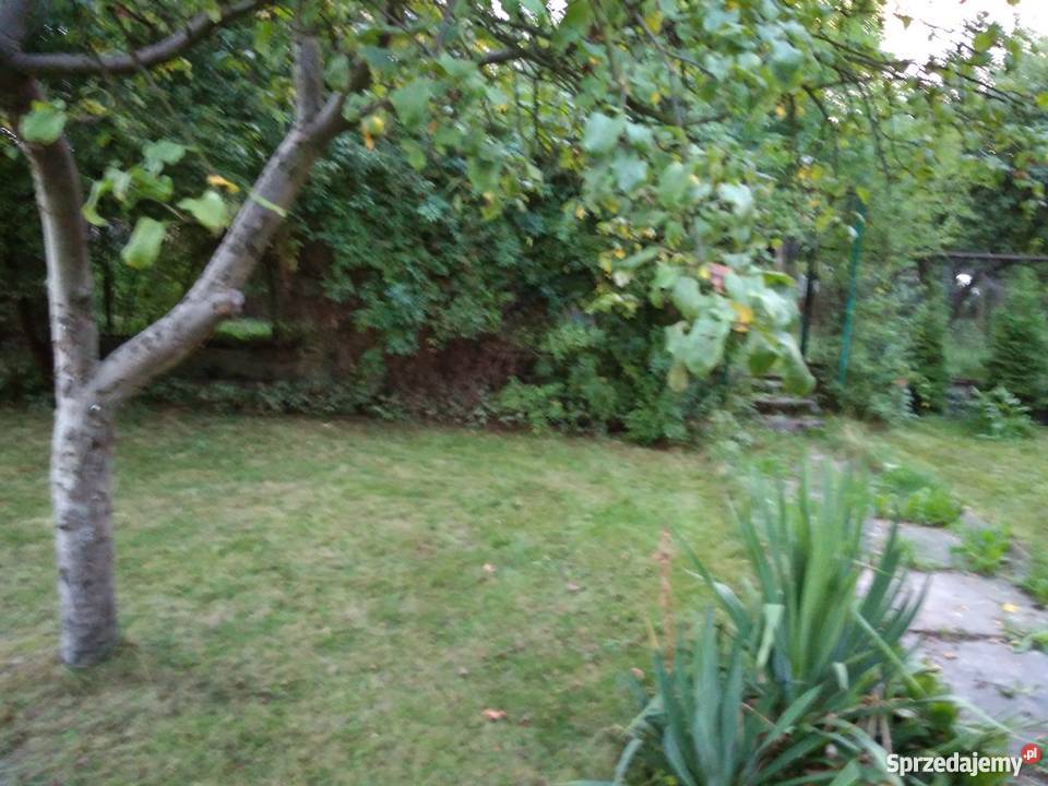 Ogródek działkowy sprzedam Bytom