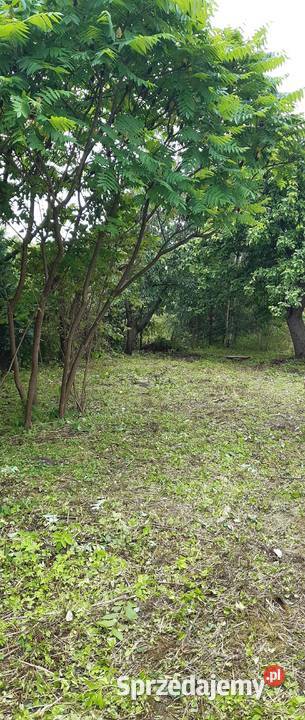 Działka 75zł/m2 mazowieckie Młodzieszyn