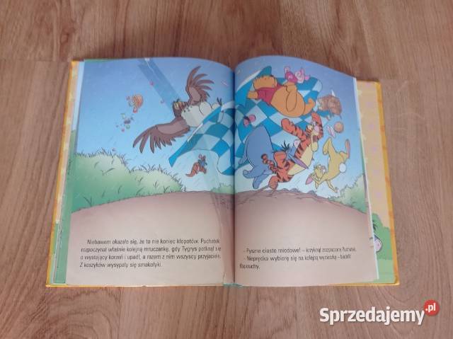 Piknik w Stumilowym Lesie KSIĄŻKA