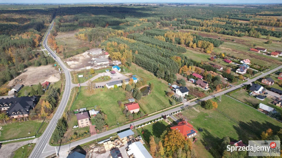 Ogłoszenie grunt 7600m2 Majdan Sieniawski Sprzedaż sprzedam