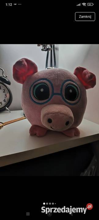 Świnka prosiaczek z biedronki Łódź