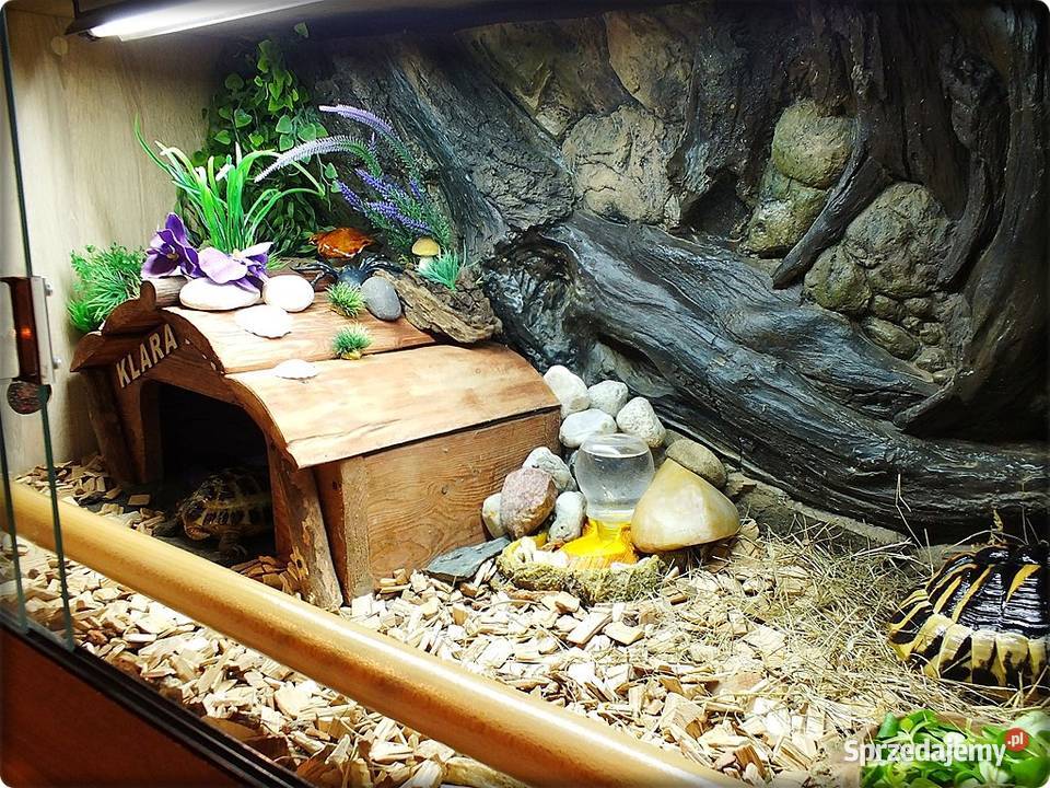 Duże Terrarium z szafką Żółw Grecki i Stepowy z Lubsko