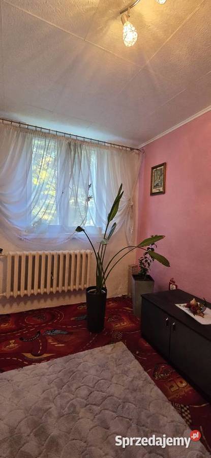 Mieszkanie 49 m z garażem 2 pokoje 175 000 175 dolnośląskie Dzikowiec