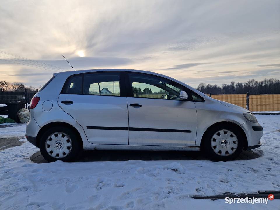 Volkswagen Golf Plus 16 V Golf Plus Kurów