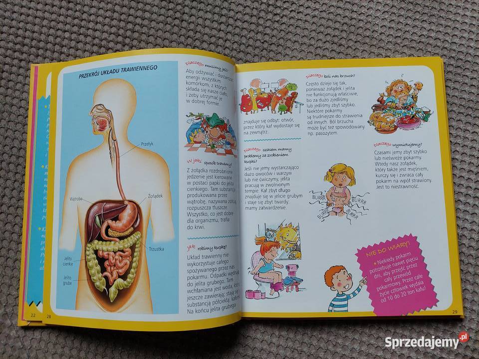 Obrazkowa encyklopedia dzieci CIAŁO twarda małopolskie Kraków sprzedam