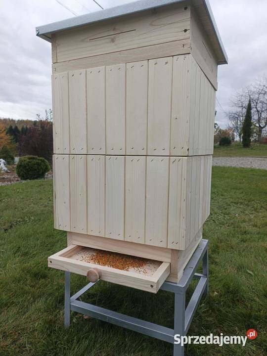 Dennica z poławiaczem pyłku małopolskie Czermna