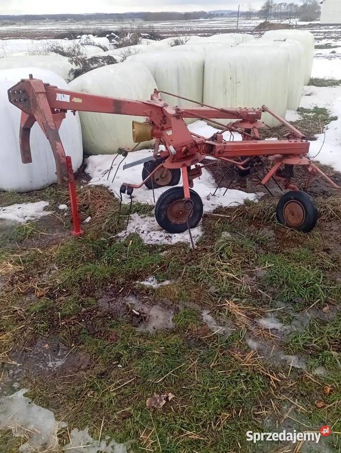 Przetszasarka świętokrzyskie