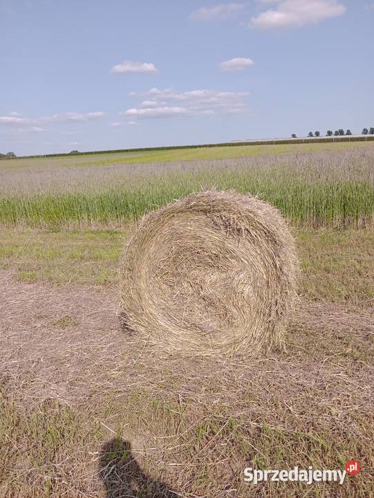 Sprzedam Siano