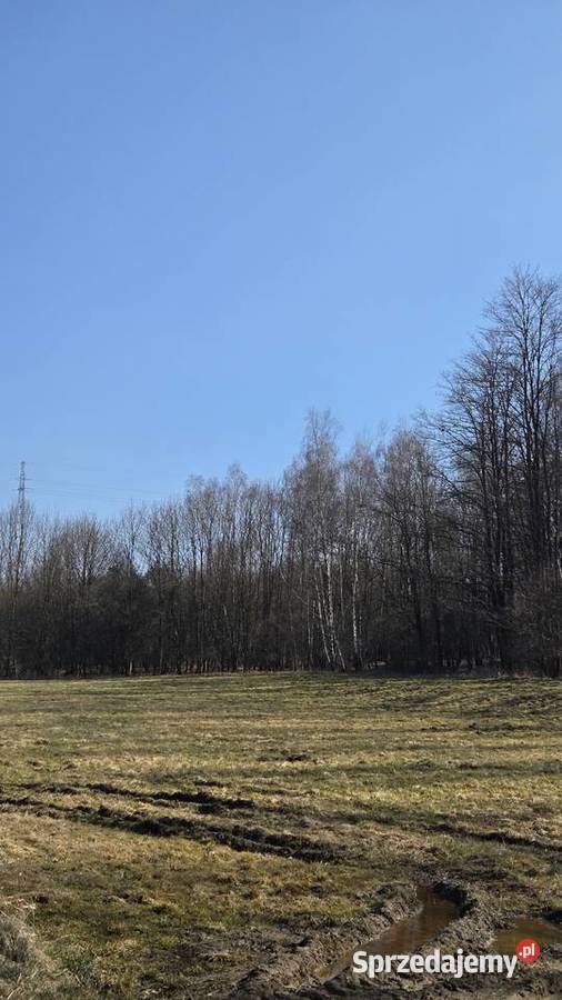 Działka inwestycyjna Racula budowlana Zielona Góra