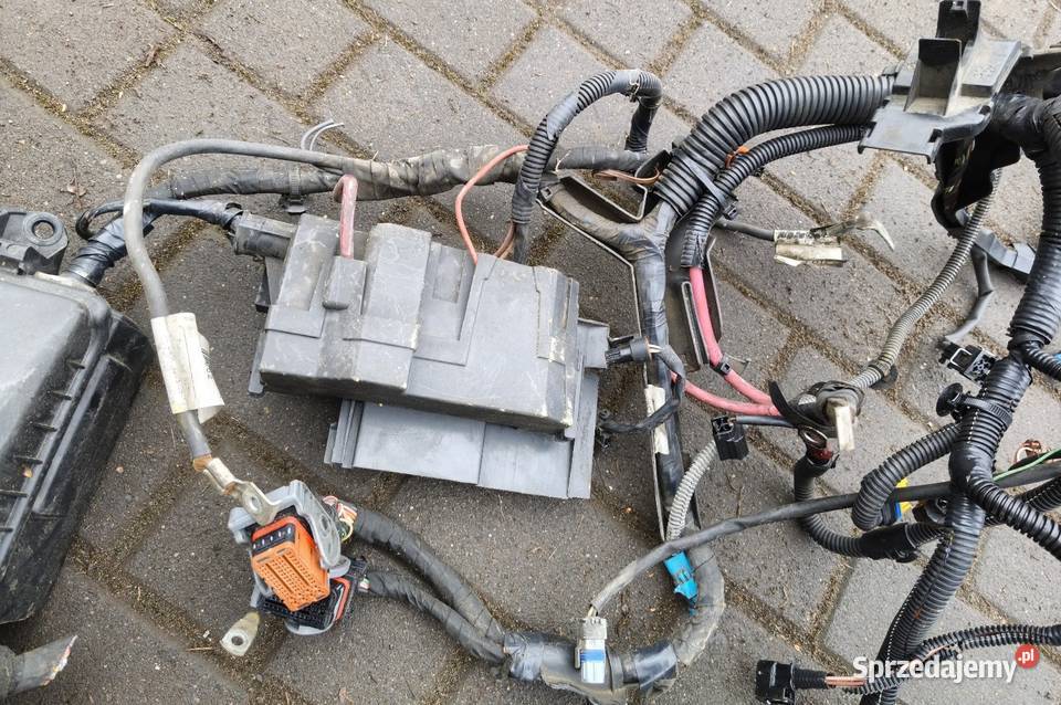 Wiązka elektrycznaskrzynka bezpieczników Renault osobowe sprzedam