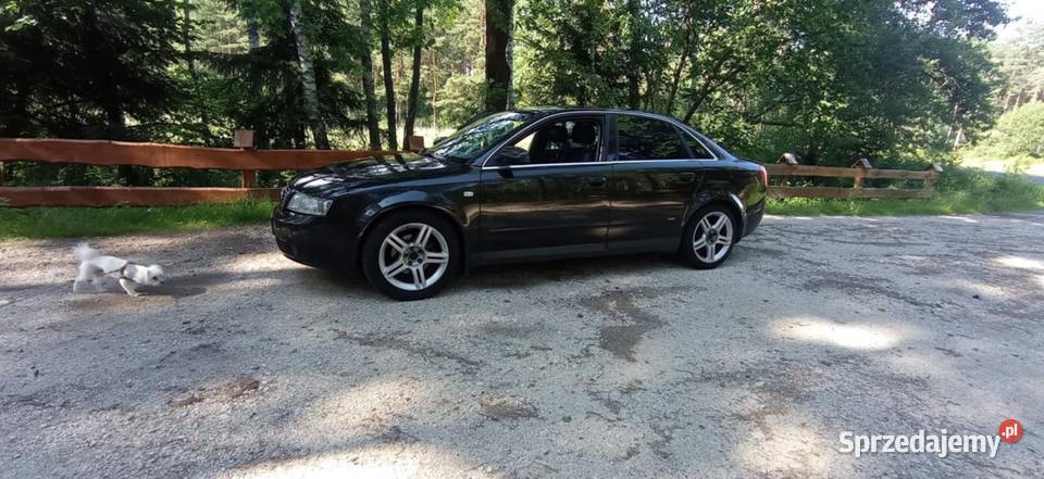 Audi A4b6