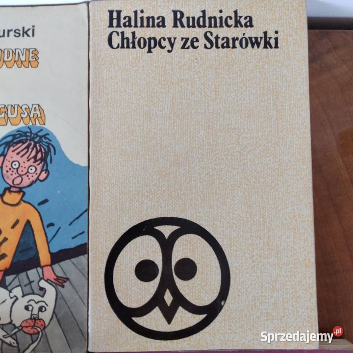 książki młodzieżowe Bukowno