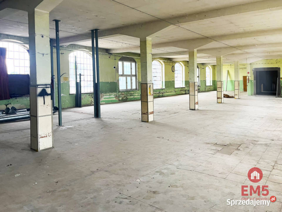 Lokal Wasilków 500m2 handlowo-usługowy