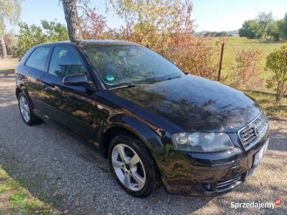 Audi A3 3drzwiowe 16 102 BENZ alu klimatronik podkarpackie Rymanów