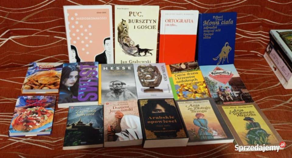 książki 45 sztuk Proza i poezja Poznań