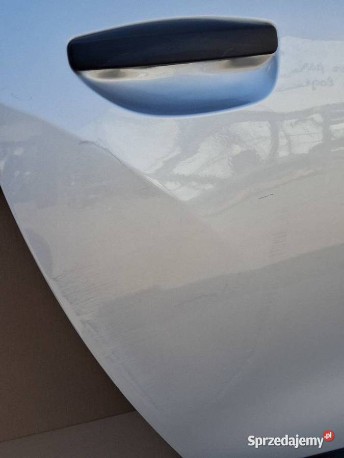DACIA LODGY DRZWI PRAWY TYŁ PRAWE TYLNE Drzwi lubuskie Bieleń