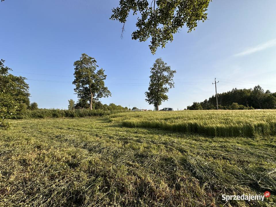 Działka z linią brzegową Pomianowo