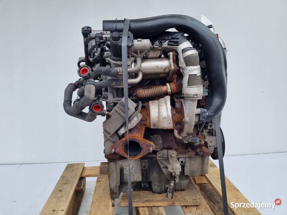 SILNIK Renault Modus 15 DCI 75 182 K9K770 Chełm