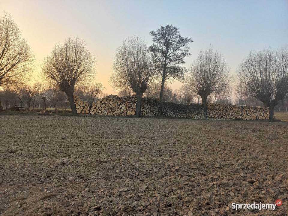 Drewno opałowe kominkowe liściaste Pozostałe Świniary