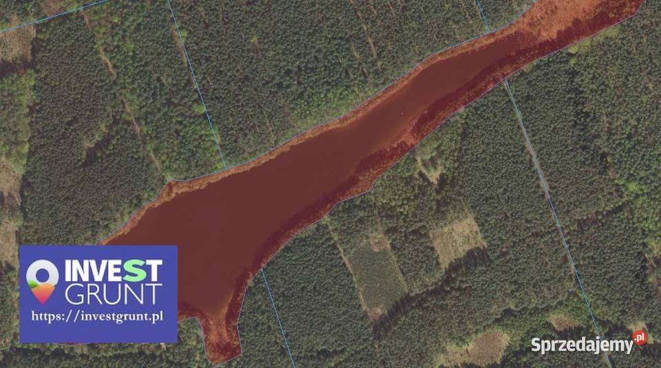 945 ha jezioro przetarg na dzierżawę Mosina