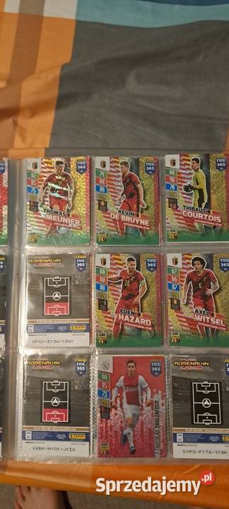 Karta panini album ponad 100 kart Rzeszów