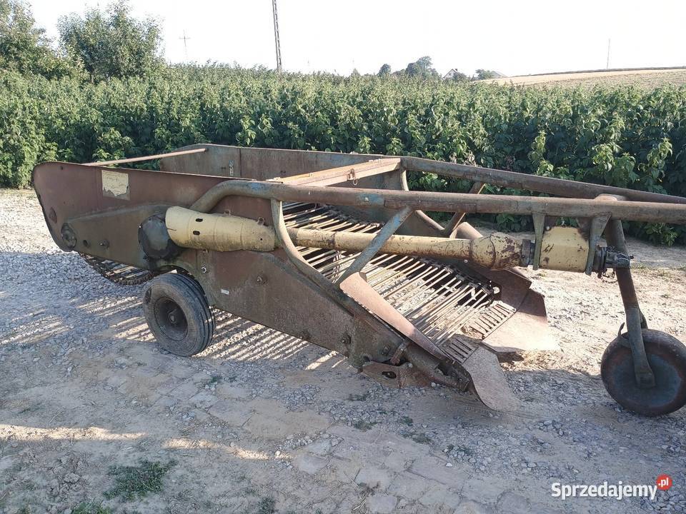 Kopaczka elewatorowa dwurzędowa do ziemniaków Izbica sprzedam