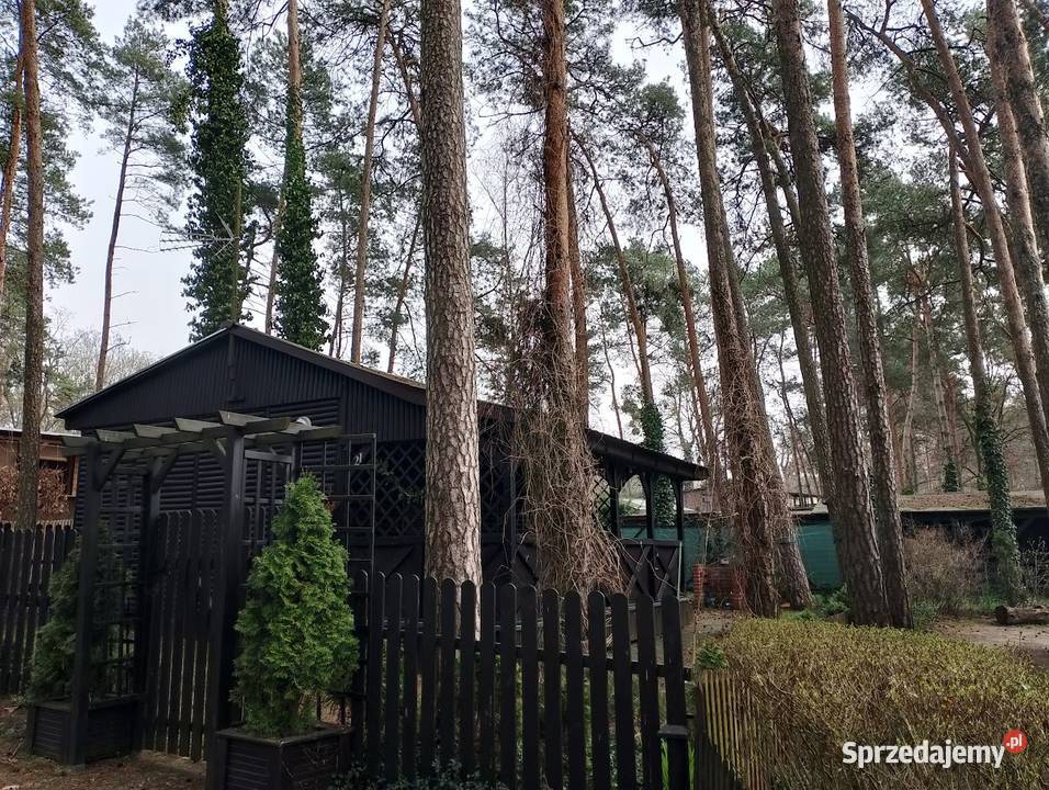 DOMEK LETNISKOWY w GRZYBOWIE koło Skoków Skoki