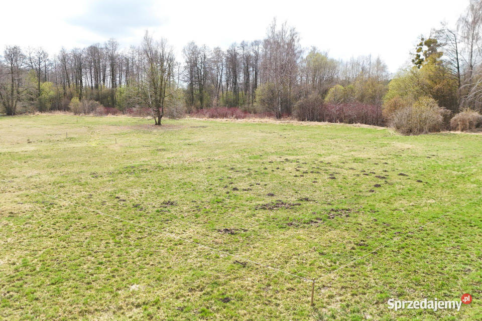 Działka budowlana 1391m2 z WZ gm Jaktorów Sprzedaż Budy Zosine