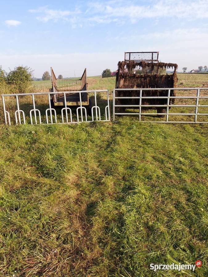 Wynagrodzenia bydla Bielawki