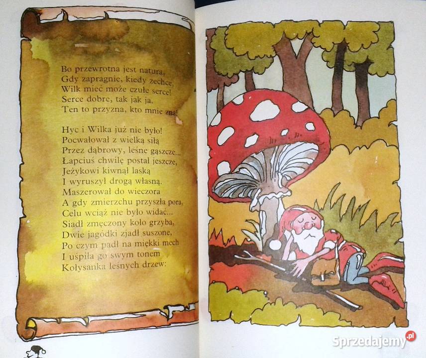 W Karzełkowie wielka susza Kazimierz Łojan Chełm